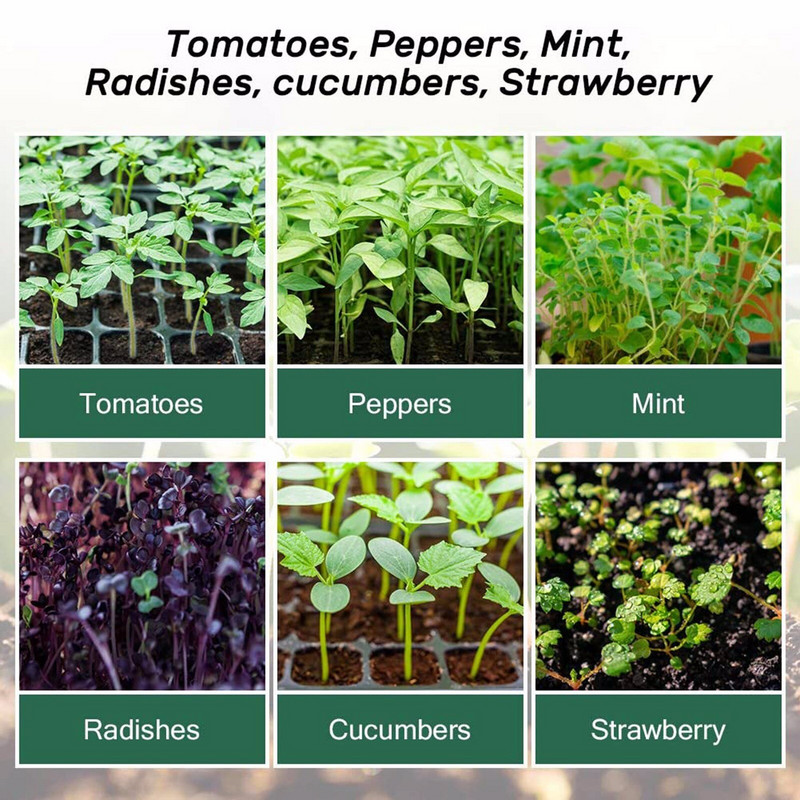 Balenie 5 semienkových misiek Sunflower House, miska na sadenice (12 buniek na misku), priehľadná miska s nastaviteľnou vlhkosťou