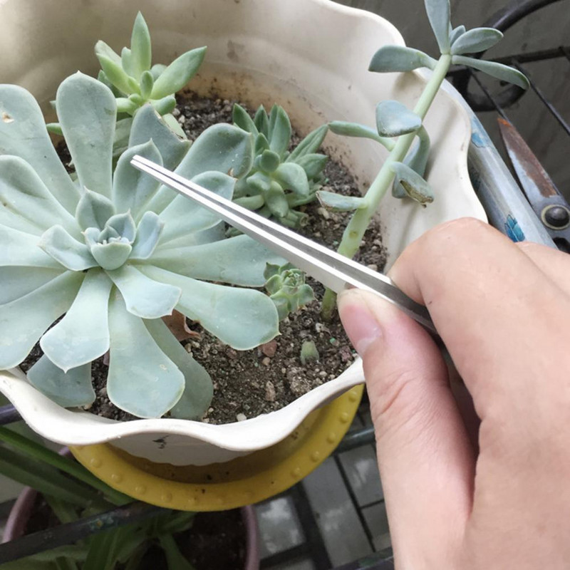 24,5 cm-es 3-ágú kertészeti gyökérgereblye, nagy keménységű rozsdamentes acél gyökérgereblye Bonsai csipesz Talajművelési eszköz Bonsai gyökérgereblye