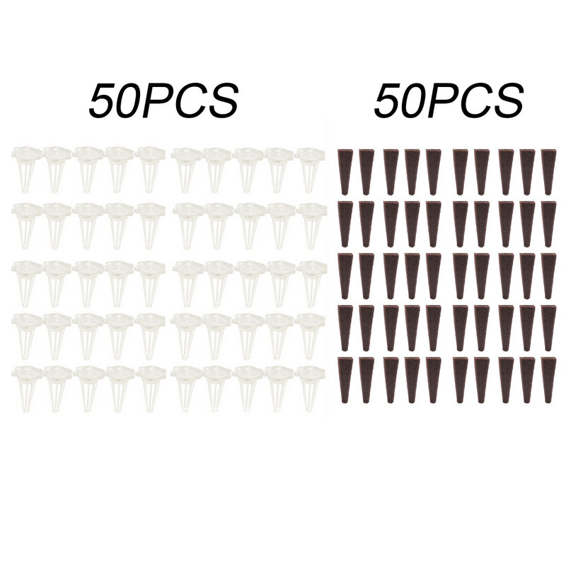 50 supakuotų auginimo kempinių sėklų ankščių rinkinys.