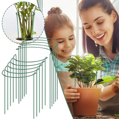 Balzaminiai augalai gyvena vazoninių augalų sode Pomidorų pagalbiniam augalui Žalias kuolas, apvalus augalas 4 pusės atraminio paketo sodinimo padėklai