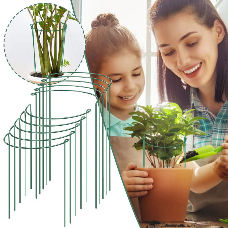 Balzaminiai augalai gyvena vazoninių augalų sode Pomidorų pagalbiniam augalui Žalias kuolas, apvalus augalas 4 pusės atraminio paketo sodinimo padėklai