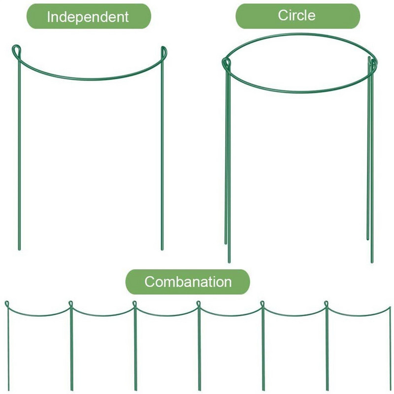 Balzaminiai augalai gyvena vazoninių augalų sode Pomidorų pagalbiniam augalui Žalias kuolas, apvalus augalas 4 pusės atraminio paketo sodinimo padėklai