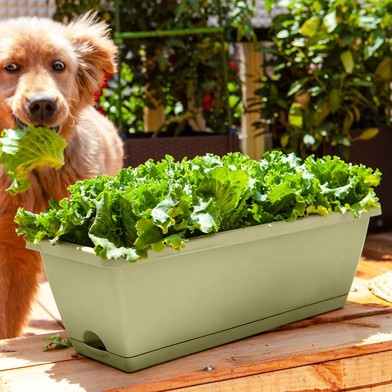 Ghiveci de plantat de bame Balcon, flori, ghivece din plastic, jgheab pentru plantare de legume, terasa, consumabile pentru economisirea gazonului și grădinii