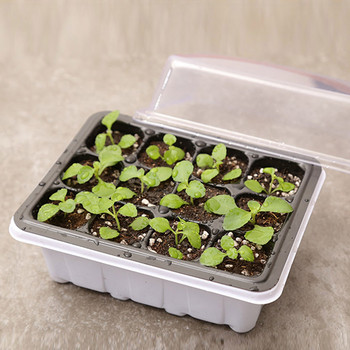 Hops Growing Kit Box Δίσκος πολλαπλασιασμού εσωτερικού χώρου με σετ καπακιού 1/2/5 τεμ.
