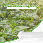 Čierny slnečnicový olej, 50 libier, materiál na skleník, priehľadná miska, plastová vnútorná rozmnožovacia súprava na rozmnožovanie machu