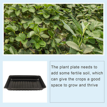 40 Διαφανές μικρό Δίσκο Καλλιέργειας Μαύρο Σπορόφυτο Agricultural Patio Lawn & Garden Indoor Starting Kit