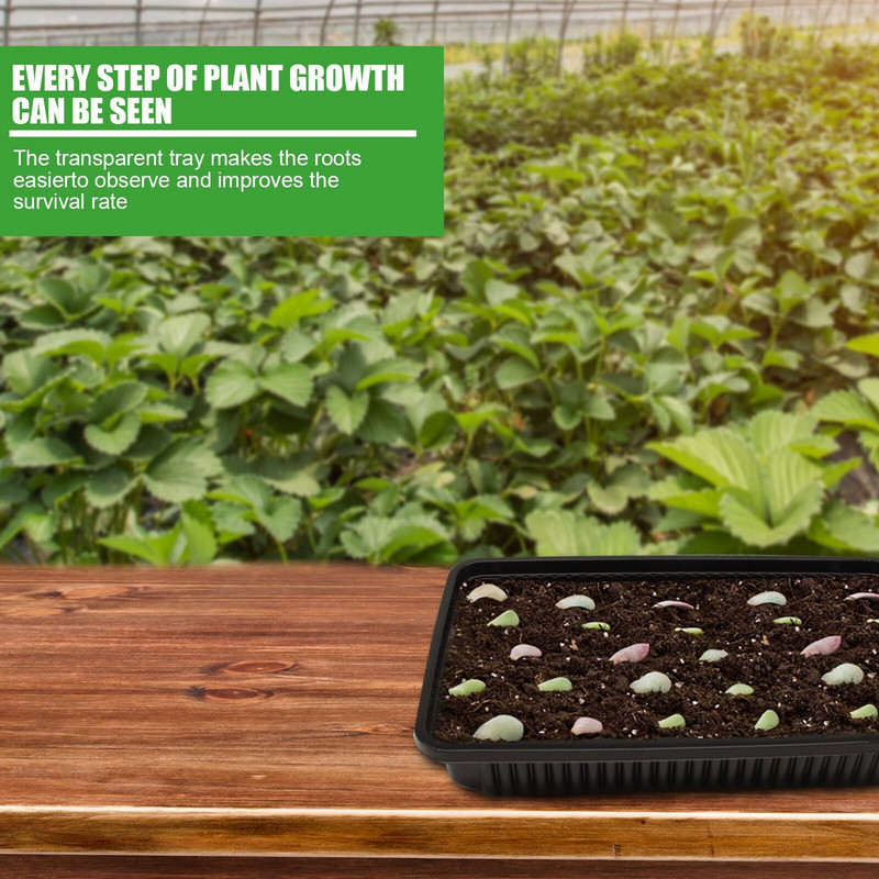 40 Permatomas mažas padėklas vazonas, juodųjų sodinukų auginimas, žemės ūkio terasa, veja ir sodas, vidaus pradinis rinkinys