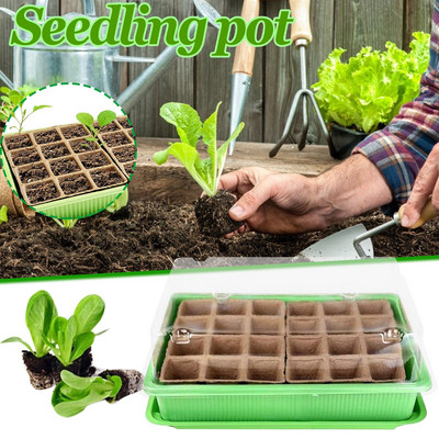 Živá rastlina mandarínkového stromu 24 buniek, záhradníctvo, mini priedušné viečka, plastová truhlica na klíčenie, kvetináče, severovýchodná tráva