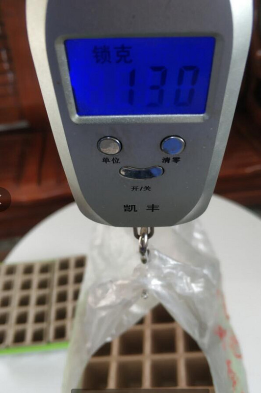 Živá rastlina mandarínkového stromu 24 buniek, záhradníctvo, mini priedušné viečka, plastová truhlica na klíčenie, kvetináče, severovýchodná tráva