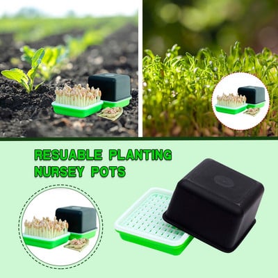Vnútorná súprava Germinati Sprout Tray Seed Plant Pestovateľský box Sprout Permanent Hydroponics Semená Patio Lawn Grass Keeling Blanket