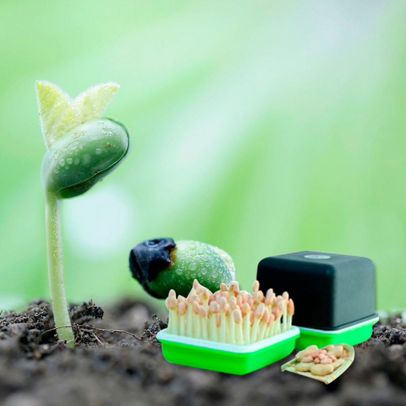 Vnútorná súprava Germinati Sprout Tray Seed Plant Pestovateľský box Sprout Permanent Hydroponics Semená Patio Lawn Grass Keeling Blanket