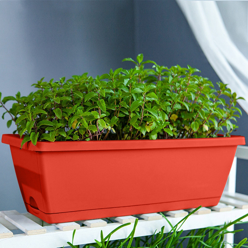 Aštrus lauko tiektuvams Daržovių sodinimas Balkonas Vazonas Gėlių sodinimas Plastikinis vazonas Daržovių Pato veja ir aukšta žolė