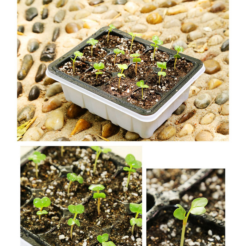 Vakarinis ir vidinis dėklo vėdinimo komplektas Šiltnamis su dangčiu, dauginimasis, vidinis kiemas veja nuo saulės spindulių daiginimo kupolas