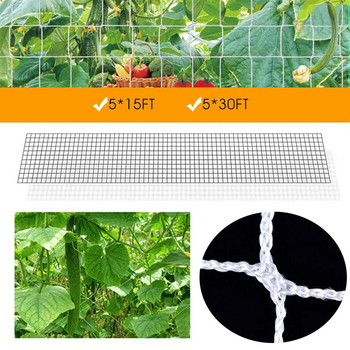 Στήριγμα νάιλον φαγητού εξωτερικού χώρου Πράσινο φυτό φράχτη Δίχτυ αναρρίχησης Δίχτυ αναρρίχησης Δίχτυ αναρρίχησης κήπου Αίθριο γκαζόν & Κιτ καλλιέργειας βοτάνων κήπου