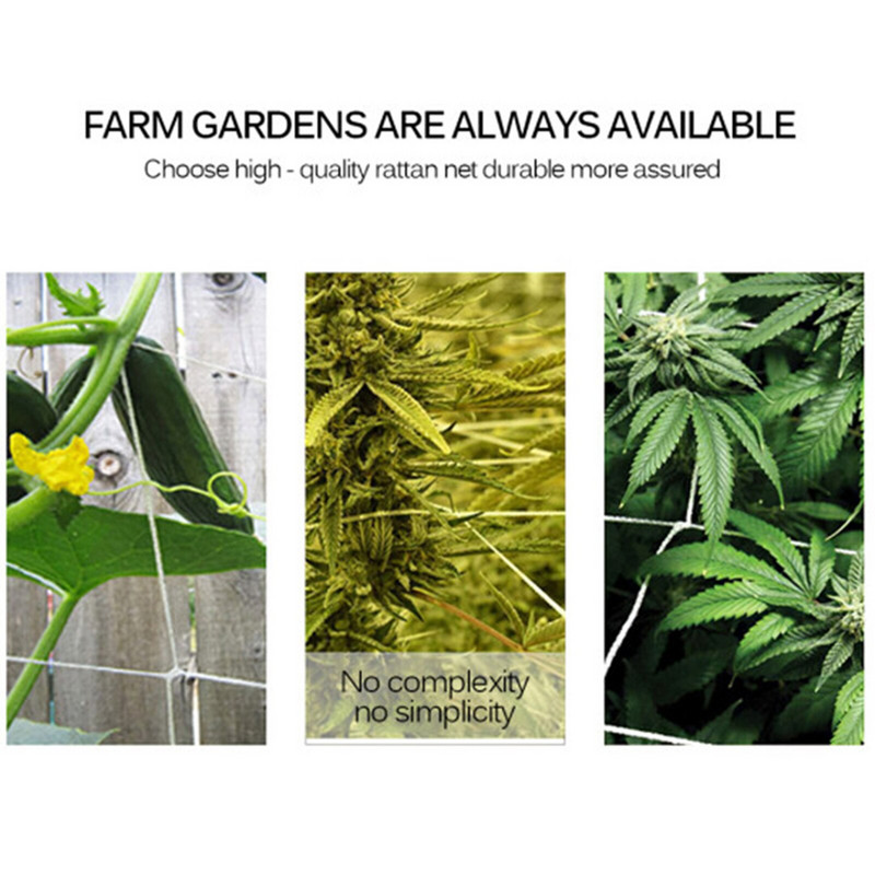 Lauko maistas Nailono atrama Žaliųjų augalų tvora tinklelis laipiojimo tinklas Laipiojimo tinklas Sodo terasa Vejos ir sodo žolelių auginimo rinkinys