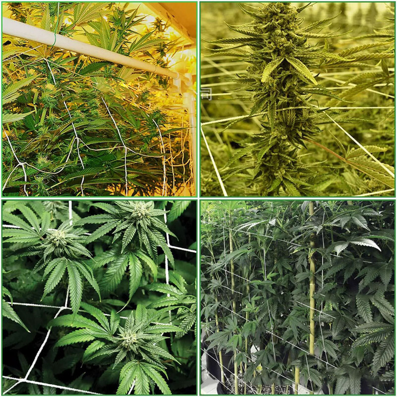 Lauko maistas Nailono atrama Žaliųjų augalų tvora tinklelis laipiojimo tinklas Laipiojimo tinklas Sodo terasa Vejos ir sodo žolelių auginimo rinkinys