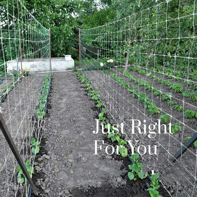 Lauko maistas Nailono atrama Žaliųjų augalų tvora tinklelis laipiojimo tinklas Laipiojimo tinklas Sodo terasa Vejos ir sodo žolelių auginimo rinkinys