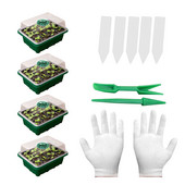 Anglų levandų sodinukų daigų daigai Sultingų augalų vazonuose sodinami sėjos rinkiniai Ekologiški sodo reikmenys