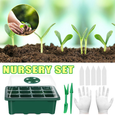 Anglų levandų sodinukų daigų daigai Sultingų augalų vazonuose sodinami sėjos rinkiniai Ekologiški sodo reikmenys