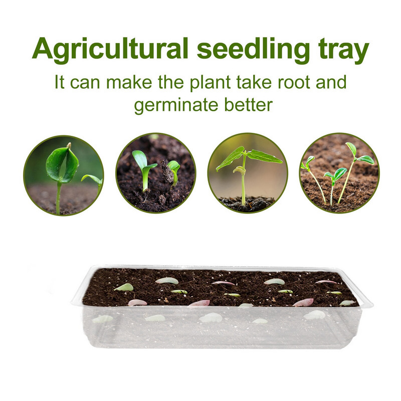 Malé plastové balenia, priehľadný rozmnožovací materiál, krabica na rozmnožovací materiál, skleníkový podnos, vnútorný trávnik, terasa a ručný rozmetač