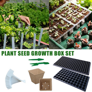 Organic Sunflower Butter Gardening Germination Pots Nursery Plastic Cells Box Mini Lids 200 Breathable Bakers Creek Catalog 2022