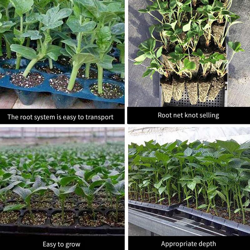 Ekologiškas saulėgrąžų sviestas Sodininkystė daiginimo vazonai darželio plastikinių ląstelių dėžutės mini dangteliai 200 kvėpuojantis Bakers Creek katalogas 2022 m.