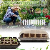 Súprava na pestovanie koktailových bylín, pestovanie čiernych malých sadeníc, kombinovaný priehľadný poľnohospodársky tácok, kvetináč, terasa, trávnik a odroda