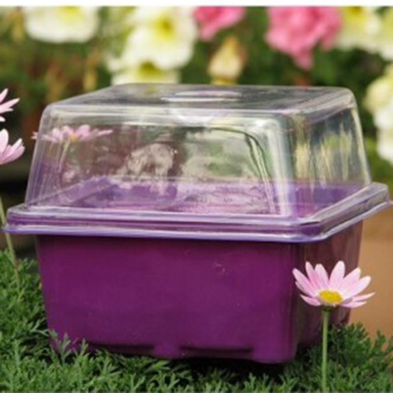 Heritage Black Oil Organic Yard Garden Seedling Plant 9 Semenovodový tácku do škôlky, pestovateľskú krabicu, terasu, trávnik a okenný skleník