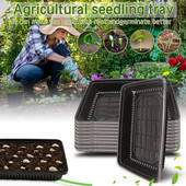 Vákuumos termesztésű palántacserép fekete mezőgazdasági kis tálca átlátszó terasz gyep és kert fekete olaj napraforgó