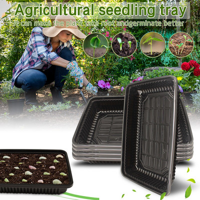 Vákuumos termesztésű palántacserép fekete mezőgazdasági kis tálca átlátszó terasz gyep és kert fekete olaj napraforgó