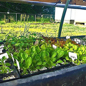 Birdseed Container Cells 105 Trays- Gardening Germination Seedling Plastic Trays Patio Lawn & Garden Winter Garden Plants
