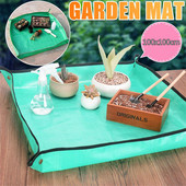 Slnečnica na vonkajšie kŕmidlá Záhradné rohože Domáce záhradníctvo Výsadba Operačná podložka Sukulentné zelené rastliny Organická domáca záhrada