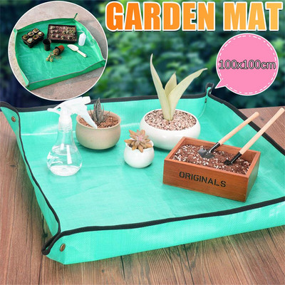 Slnečnica na vonkajšie kŕmidlá Záhradné rohože Domáce záhradníctvo Výsadba Operačná podložka Sukulentné zelené rastliny Organická domáca záhrada