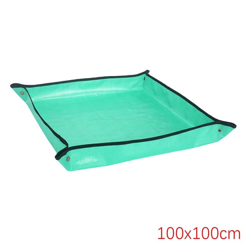 Slnečnica na vonkajšie kŕmidlá Záhradné rohože Domáce záhradníctvo Výsadba Operačná podložka Sukulentné zelené rastliny Organická domáca záhrada