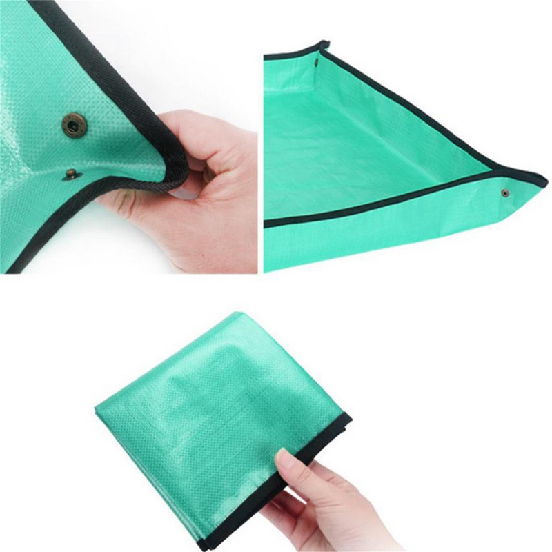 Slnečnica na vonkajšie kŕmidlá Záhradné rohože Domáce záhradníctvo Výsadba Operačná podložka Sukulentné zelené rastliny Organická domáca záhrada