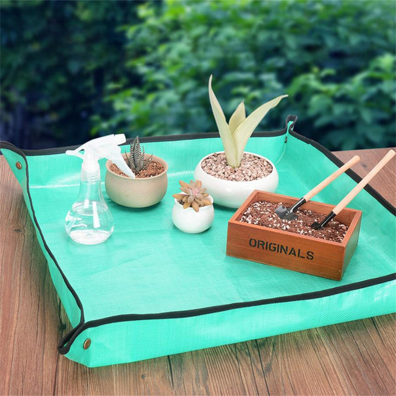 Slnečnica na vonkajšie kŕmidlá Záhradné rohože Domáce záhradníctvo Výsadba Operačná podložka Sukulentné zelené rastliny Organická domáca záhrada