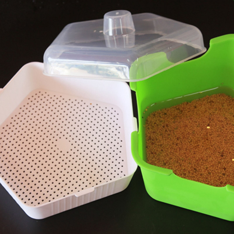 Citromfű doboz vetőmag csíratartó tálca, állandó germinati hidroponikus vetőgép, csíratermesztés, terasz, pázsit és kert ültetésre