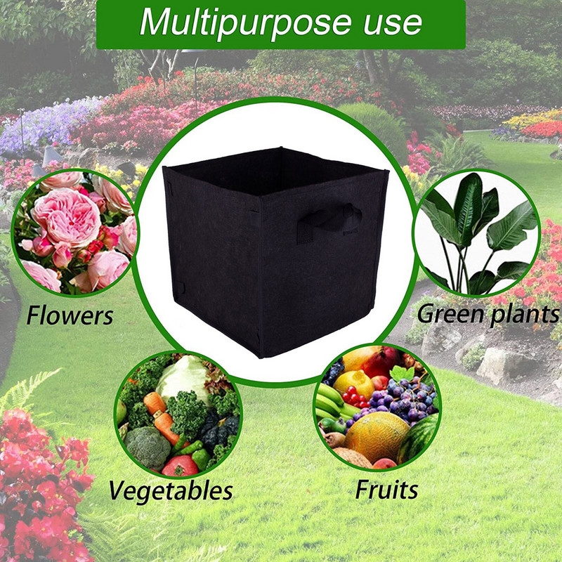 Braškių augalai, skirti rudeniui sodinti, su rankenomis Neaustinis sustorėjęs vazonas, auginimo maišelis Audinys Augalas kiemas Veja ir brokolių daigai