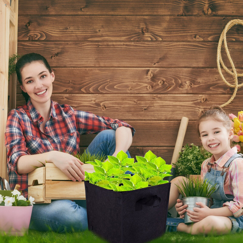 Braškių augalai, skirti rudeniui sodinti, su rankenomis Neaustinis sustorėjęs vazonas, auginimo maišelis Audinys Augalas kiemas Veja ir brokolių daigai