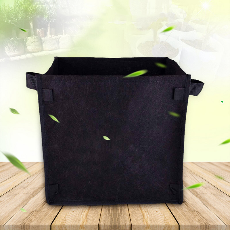 Braškių augalai, skirti rudeniui sodinti, su rankenomis Neaustinis sustorėjęs vazonas, auginimo maišelis Audinys Augalas kiemas Veja ir brokolių daigai