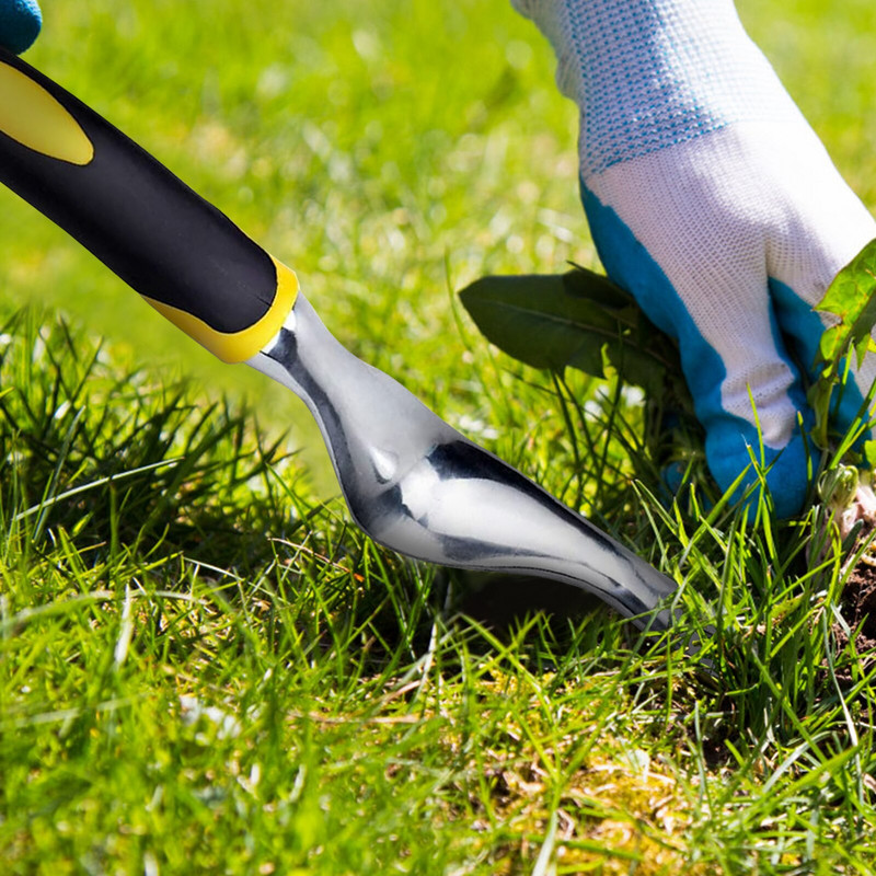 2 vnt ravėjimo įrankiai, skirti sodo piktžolių kiaulpienių šalinimo įrankiui iš nerūdijančio plieno piktžolių ištraukimo sodo rankiniai sėklų skleidėjai