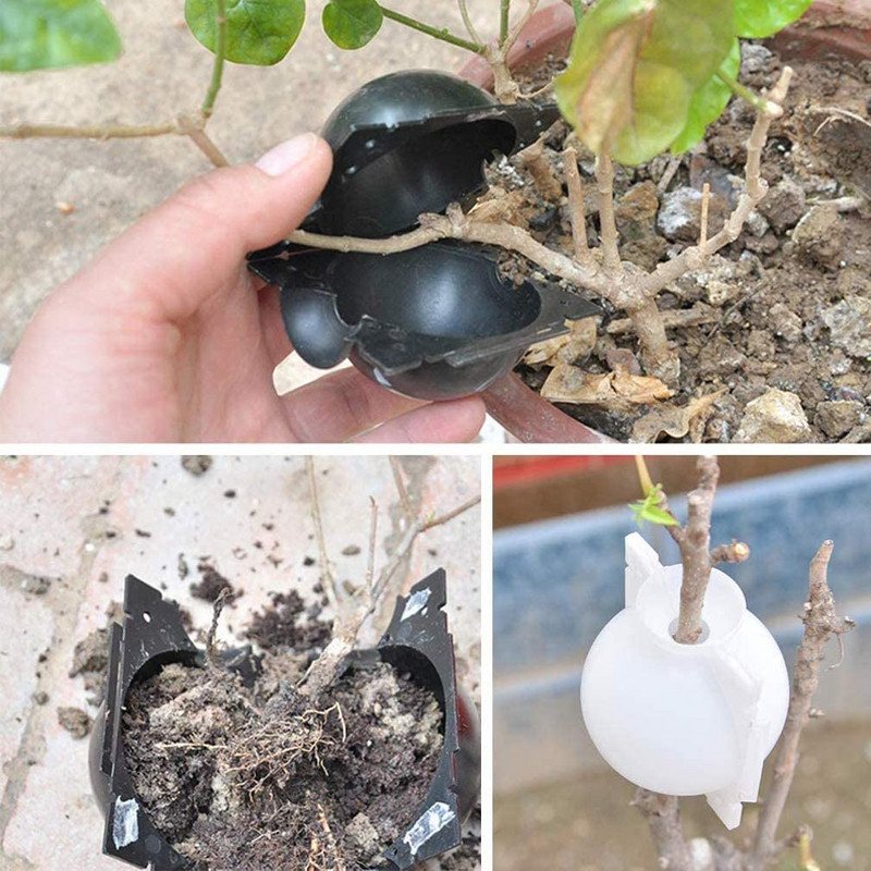 6 vnt. Augalų auginimo skiepijimo įšaknijimo prietaisų dėžė aukšto slėgio dauginimo dėžutės veisimo dėklas Skiepijimo kamuoliukas Sodo priedai