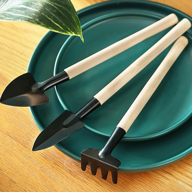 30 vienetų sultingų augalų įrankis Mini sodo rankinio persodinimo sodo įrankių rinkinys Miniatiūrinis sodinimo kambarinis bonsai sodo rinkinys