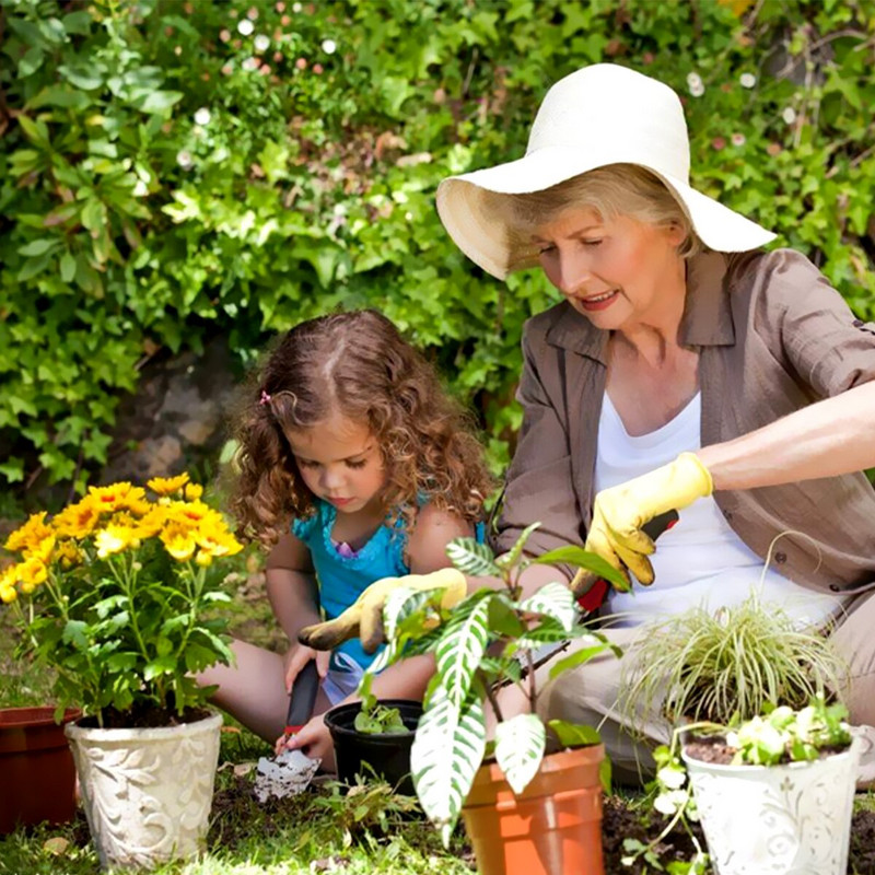 Sodo įrankių rinkinys iš nerūdijančio plieno rankinių sodo įrankių rinkinį sudaro rankinė mentele persodinimo mentele ir kultivatoriaus rankinis grėblys