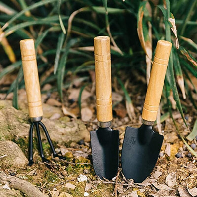 Sodo sodinimo rinkinys Sultingas sodinimas „Pasidaryk pats“ įrankių rinkinys persodinimo sodinukų įrankis Bonsai trąšų sėjamoji persodinimas 10 vnt/komplektas
