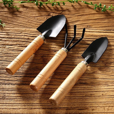 3vnt Mini kastuvų grėblių rinkinys Kastuvas augalams bonsai įrankiai sodo mini rankiniai įrankiai miniatiūrinis sodinimo rinkinys medinės rankenos kastuvo rinkinys