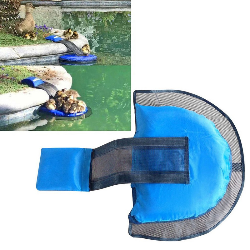 Pabėgimo tinklelis, plaukiojantis laiptelis varlėms, gyvūnams, gyvūnams, pabėgimo tinkleliui, plaukimo linijai baseino gyvūnams, pabėgimo šlaito baseino priedai