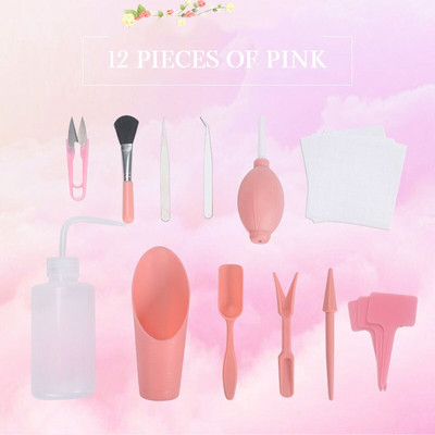 bonsai sėklos Sultingų augalų sodinimo įrankių rinkinys gėlių auginimas Mini sodininkystės produktai sultingi vazoniniai kaplių sodinimo įtaisai