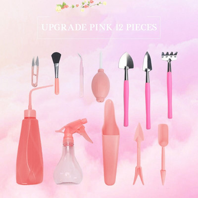 bonsai sėklos Sultingų augalų sodinimo įrankių rinkinys gėlių auginimas Mini sodininkystės produktai sultingi vazoniniai kaplių sodinimo įtaisai