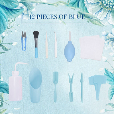 bonsai sėklos Sultingų augalų sodinimo įrankių rinkinys gėlių auginimas Mini sodininkystės produktai sultingi vazoniniai kaplių sodinimo įtaisai